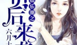 娱乐圈pop1 娱乐圈小说,Pop1的璀璨星途