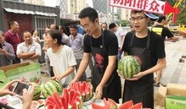 北京朝阳吃瓜,瓜界风云录，美食地图大揭秘